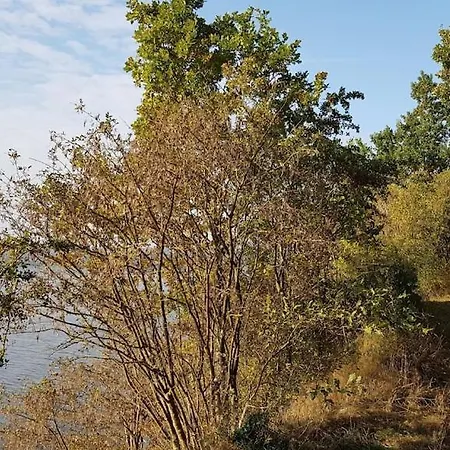 Seeblick * Altefähr